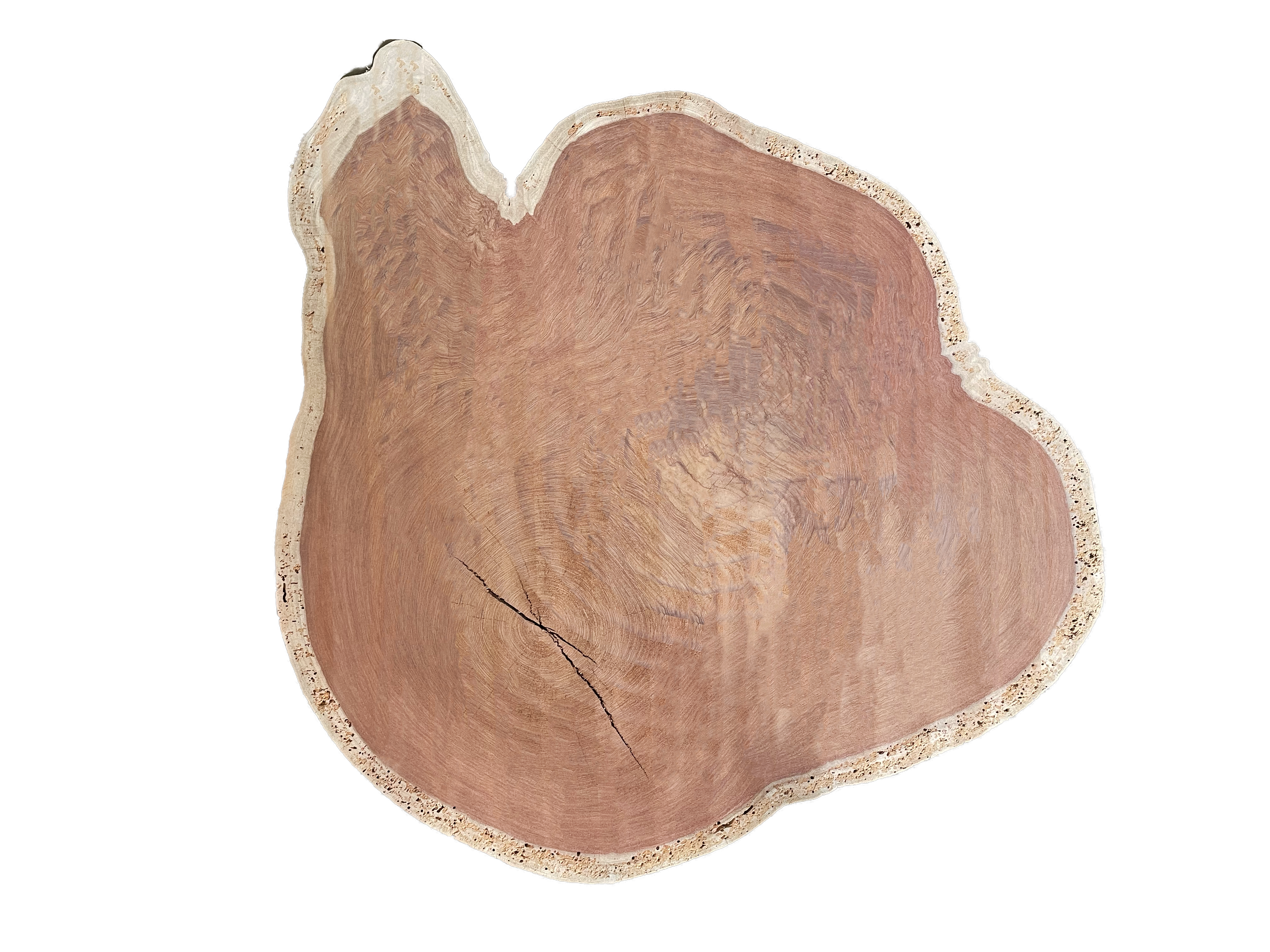 Live-Edge Cookie slab Live-Edge Cookie slab