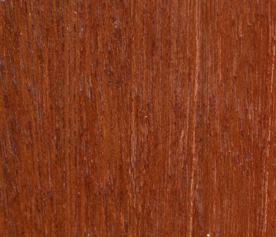 Is Philippine Mahogany a True Mahogany? OHC