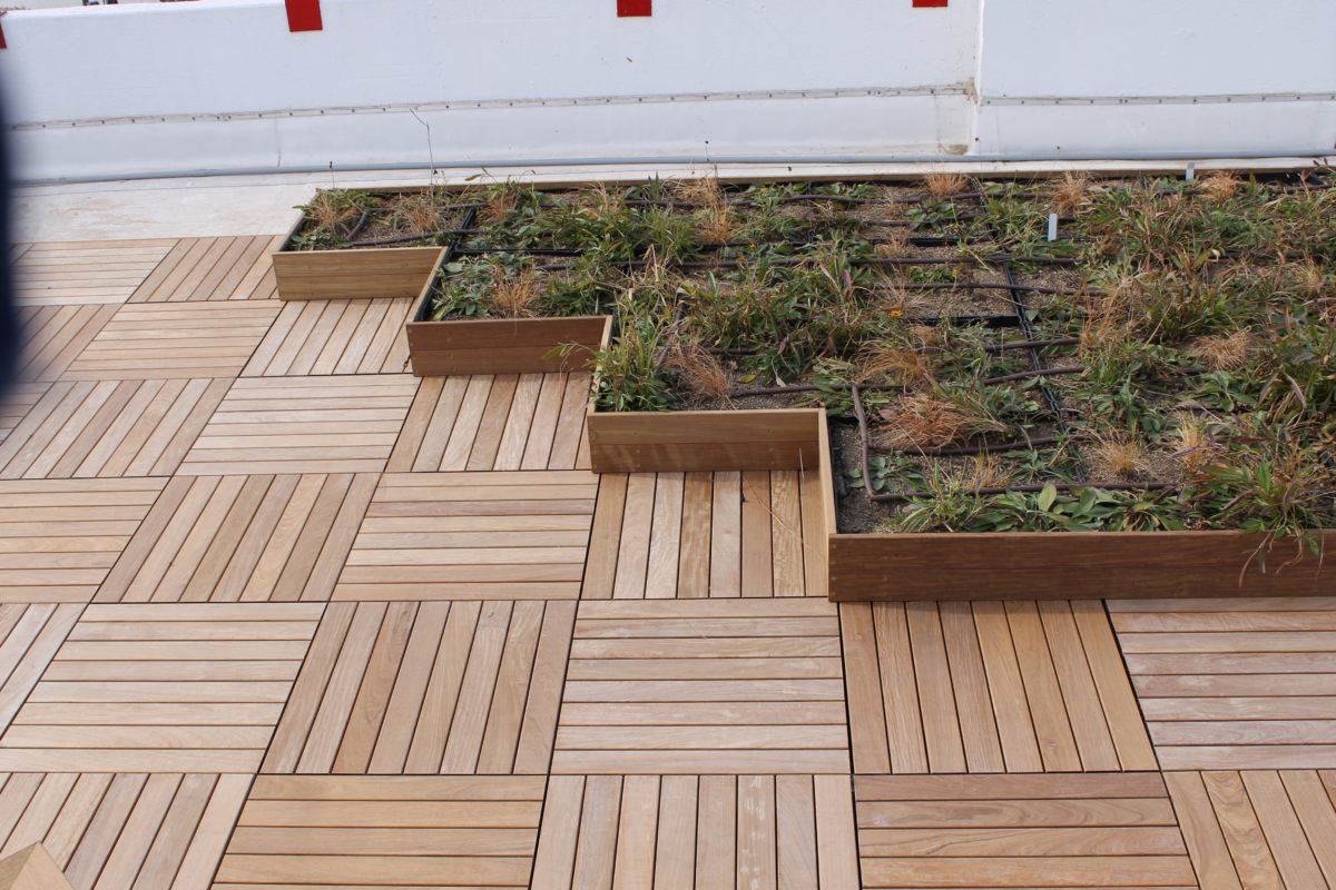 Rooftop Ipe Deck