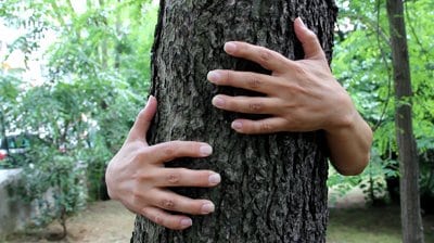 Hands Hugging a Tree