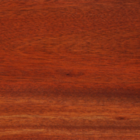 Bloodwood