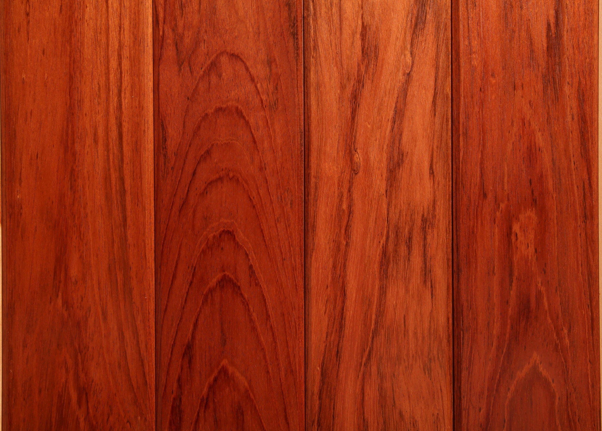 Jatoba OHC