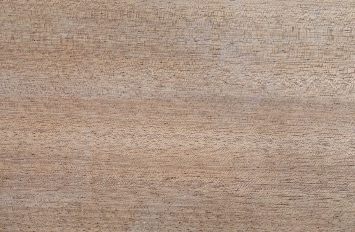 Sipo Utile Plain Sawn Unfinished