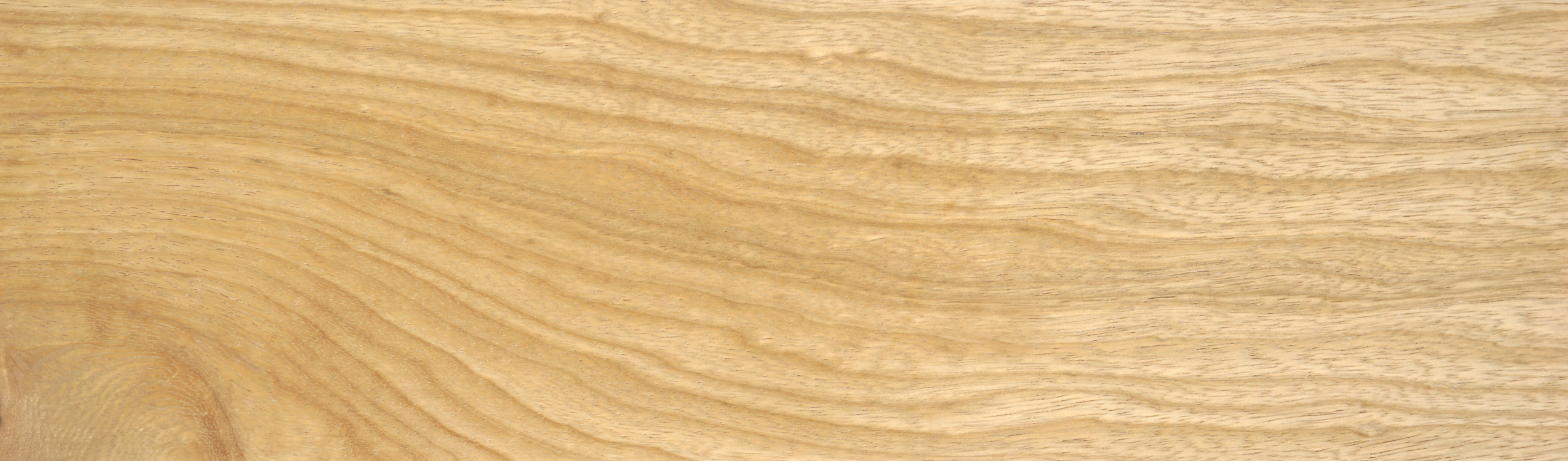 White Limba