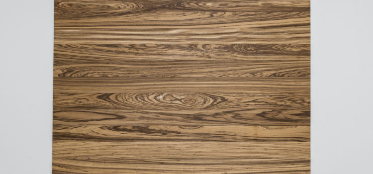 Zebrawood Accent Wall
