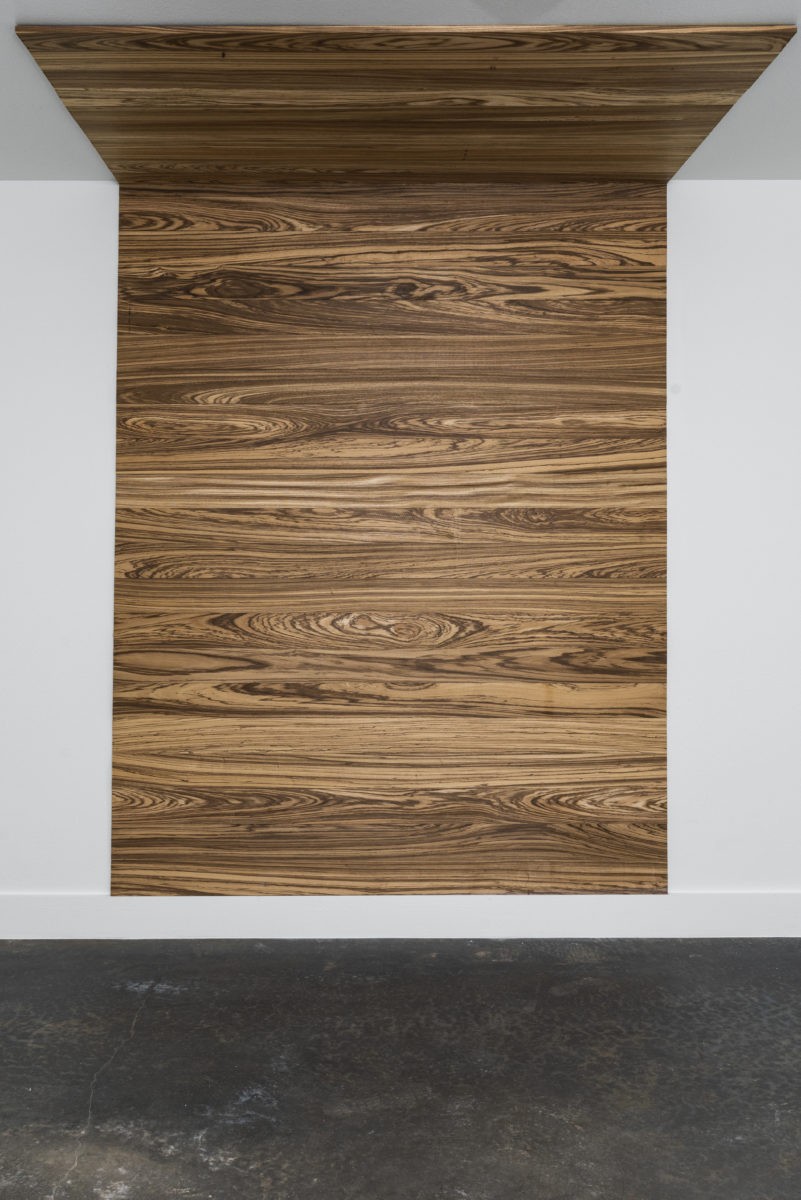 Zebrawood Accent Wall