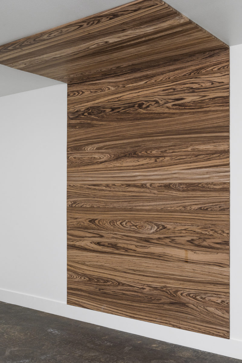 Zebrawood Accent wall