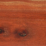Bloodwood