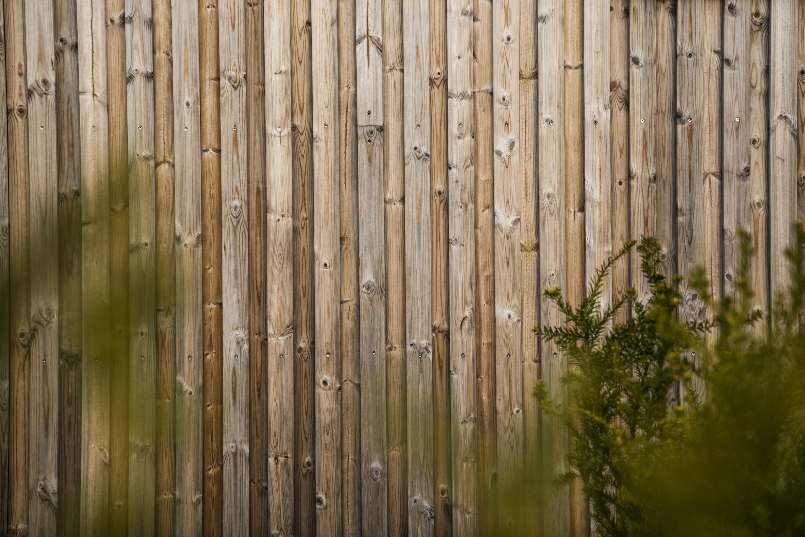 BENCHMARK PINE CLADDING