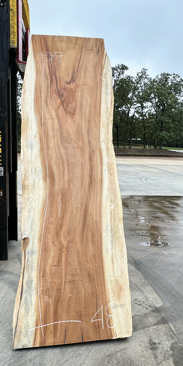 Parota Live-Edge Slab