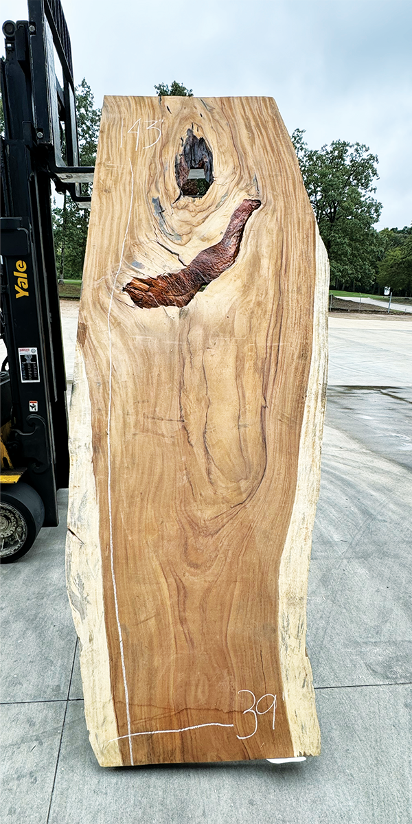Parota Live Edge Slab
