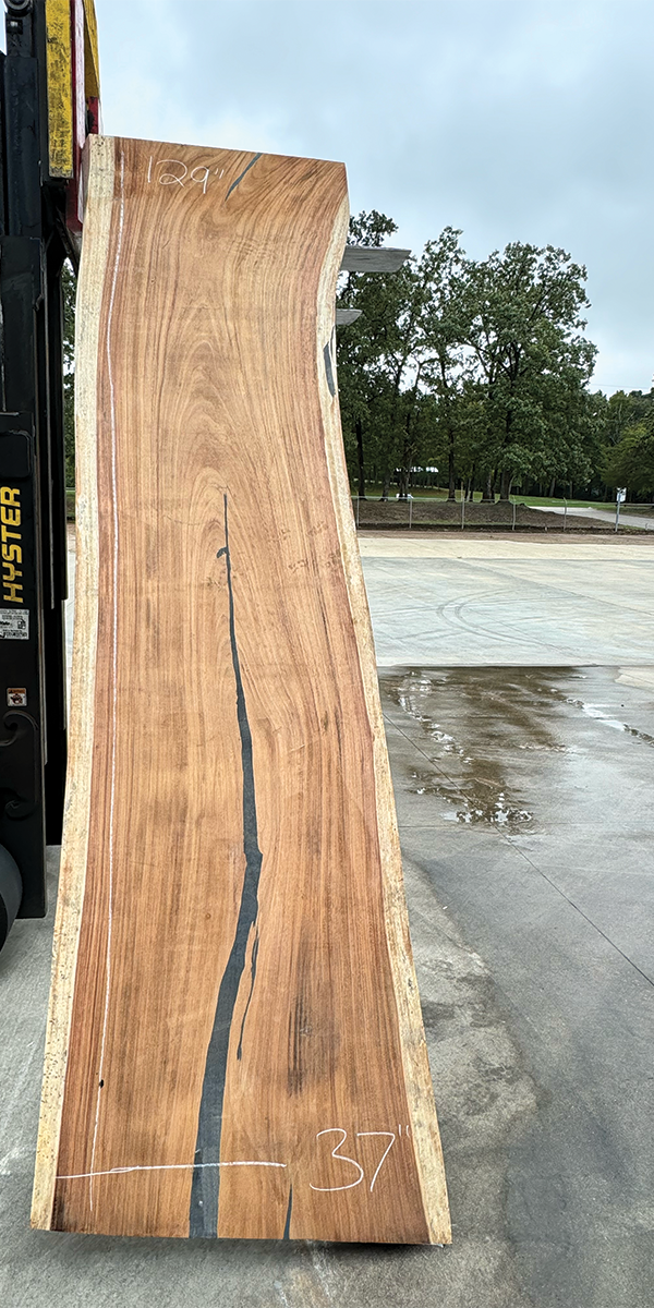 Parota Live Edge Slab