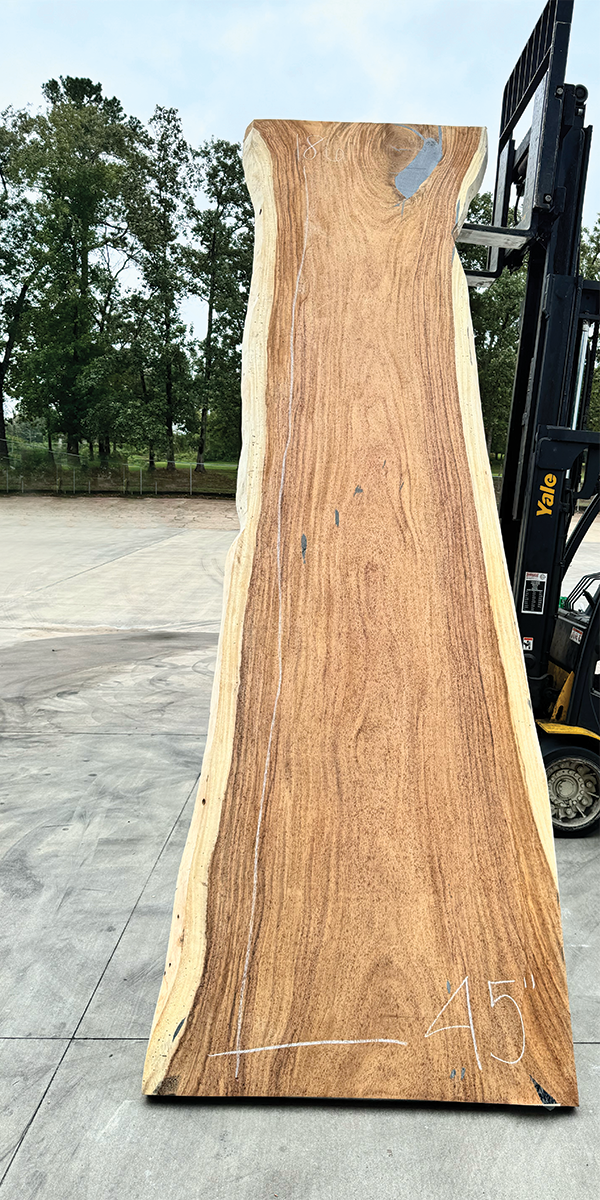 Slab 4293448