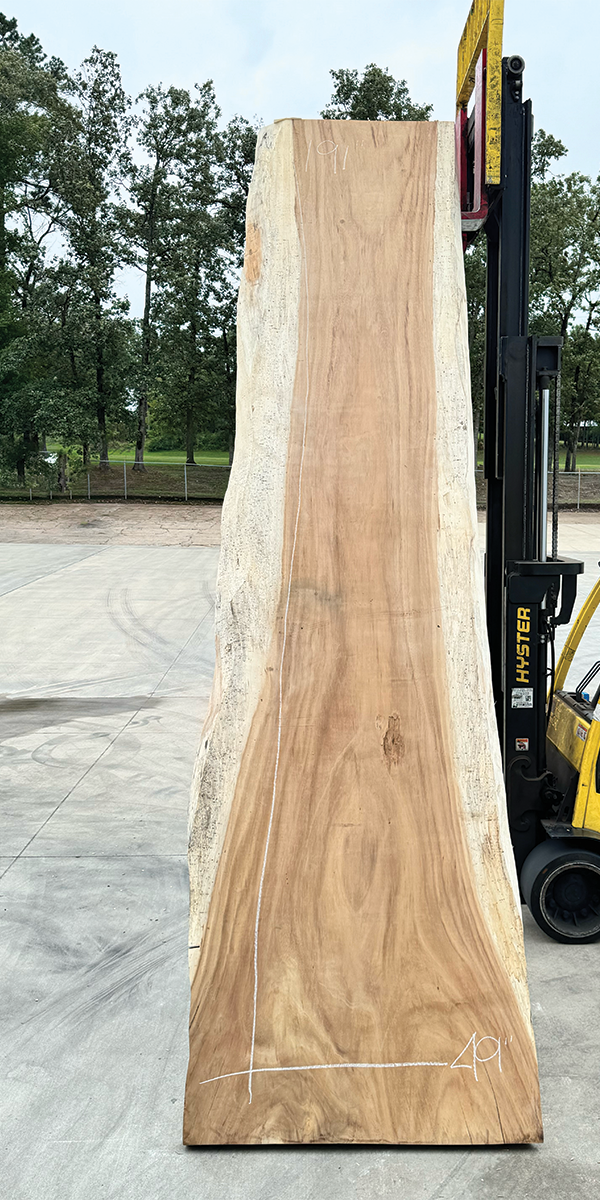 Slab 4293464